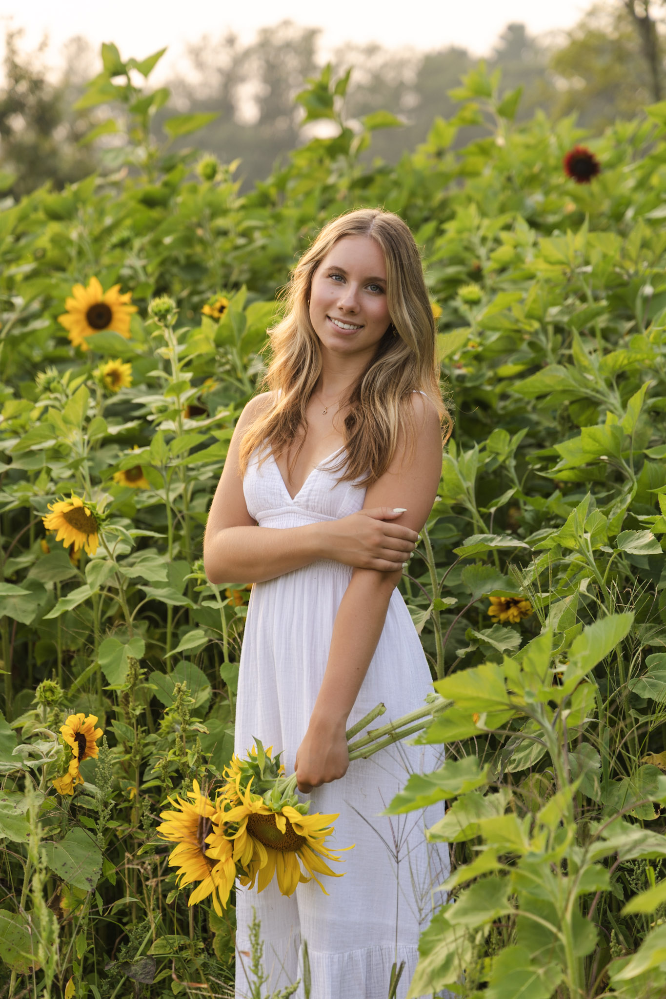 Senior portrait in a sunny field